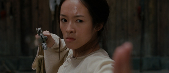 <em>Crouching Tiger, Hidden Dragon<em>