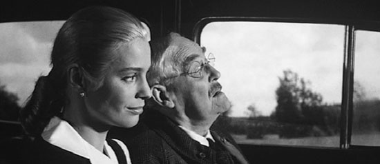 <em>Wild Strawberries</em>
